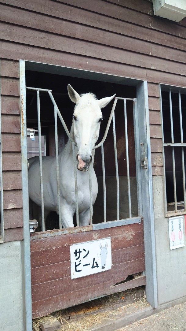 ばん馬サンビーム号