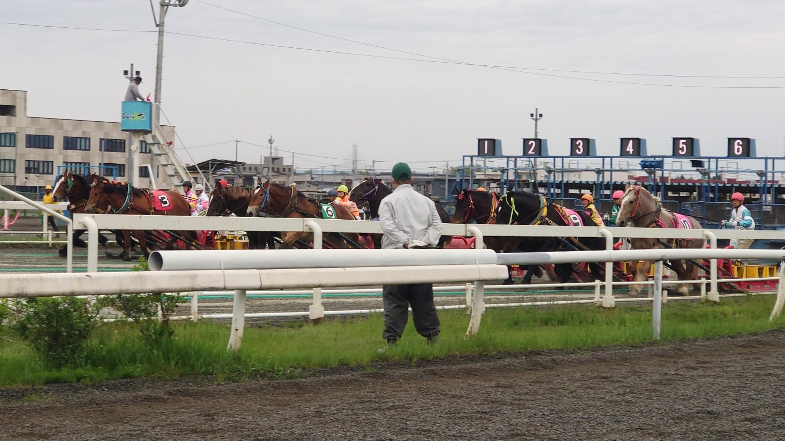 ばんえい競馬レースの様子