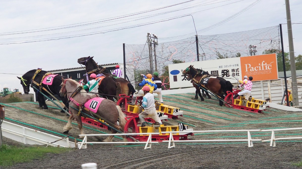 ばんえい競馬坂道の様子