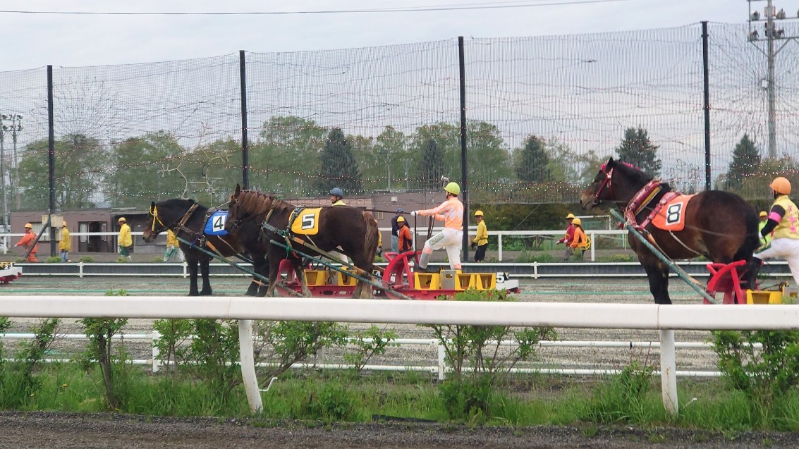 ばんえい競馬の様子