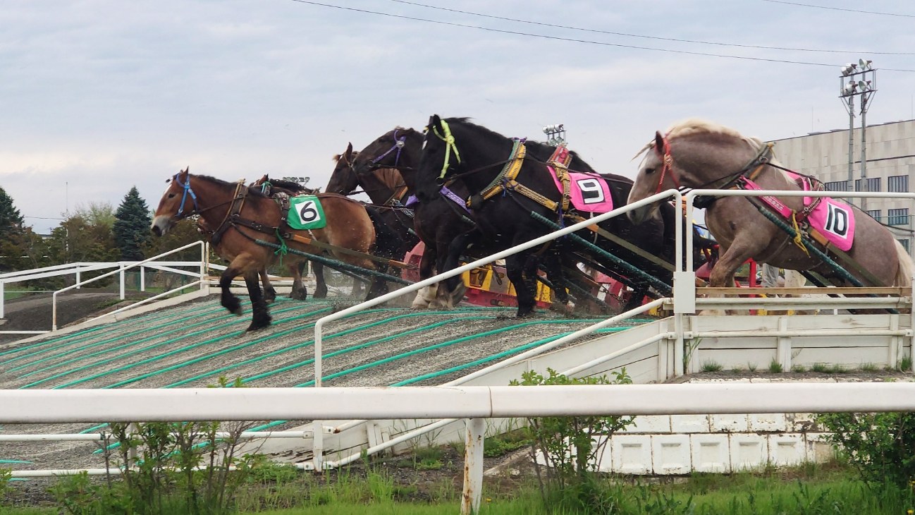 ばんえい競馬の様子