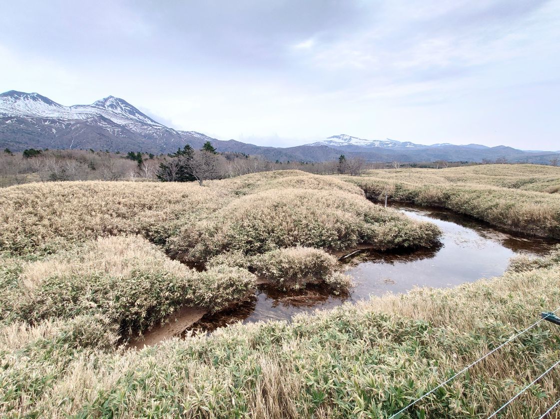 知床の水溜まり