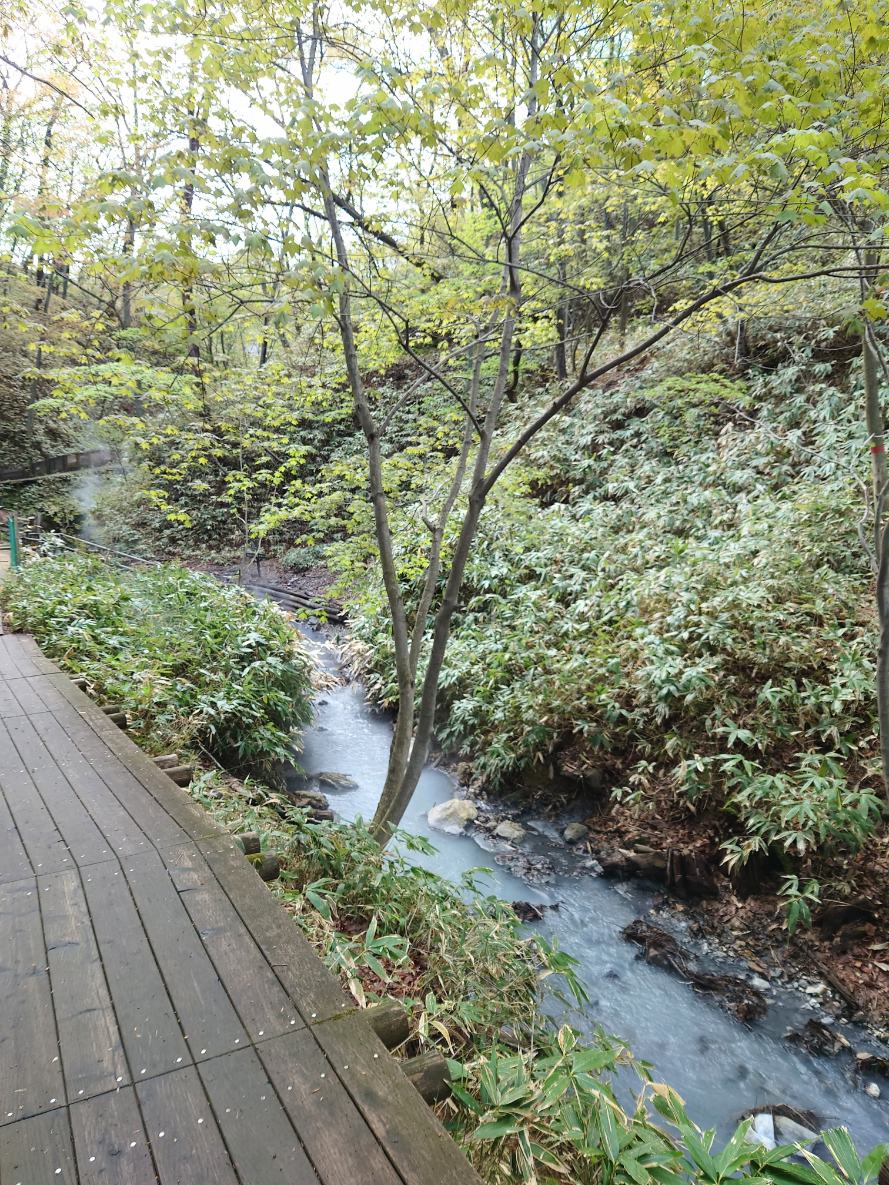 大湯沼川天然足湯までの遊歩道