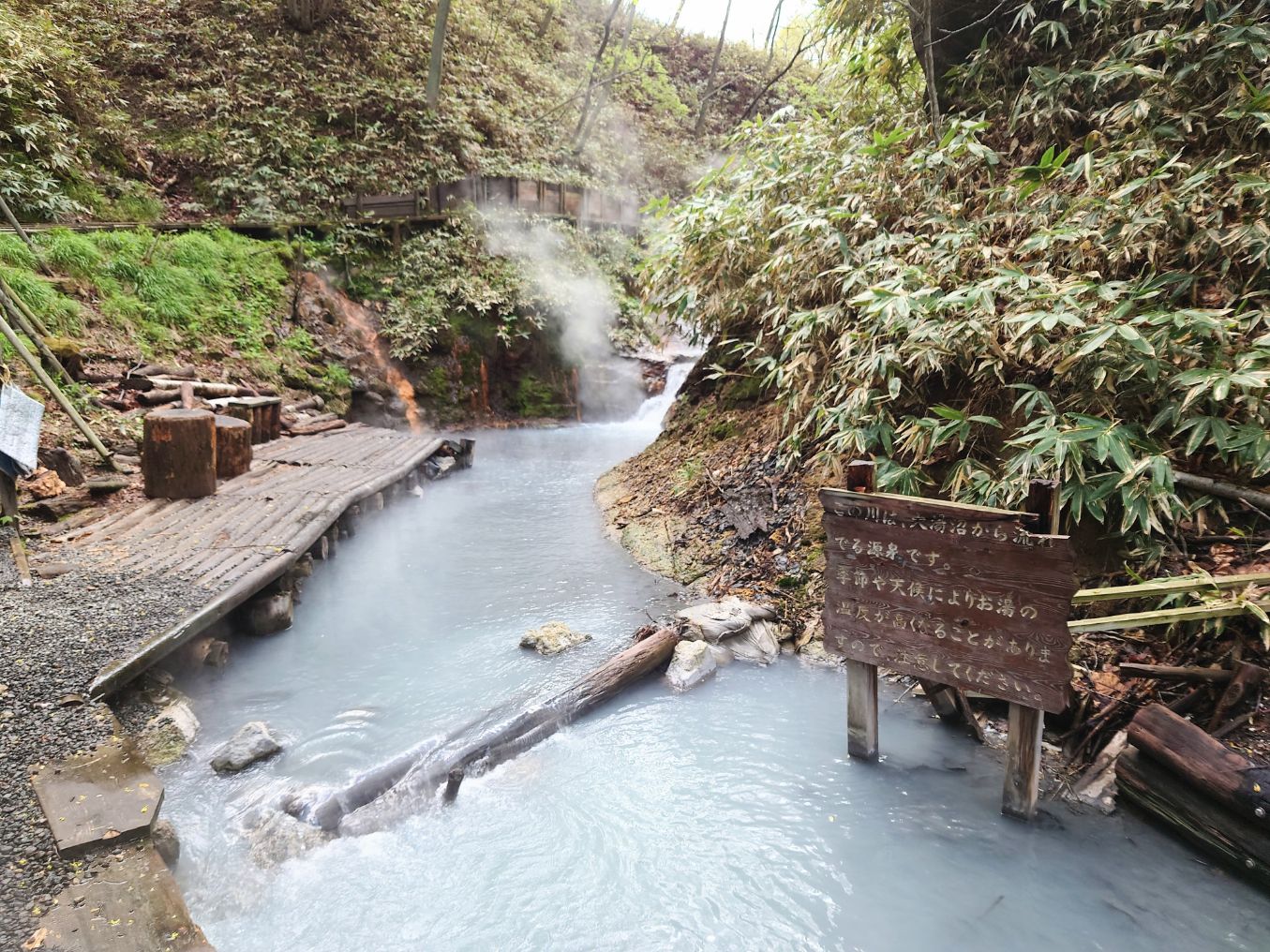 大湯沼川天然足湯