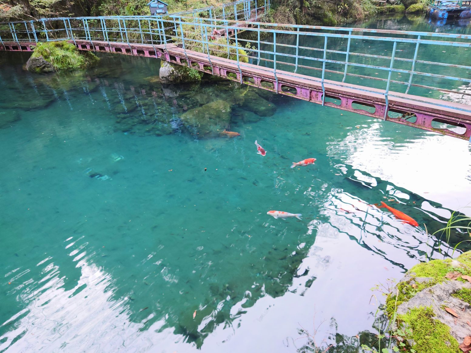 白龍湖